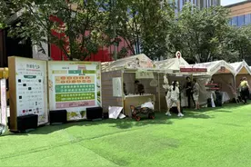 BFC外滩香气节：让活力夏日与芬芳馥郁美好相遇图片