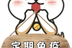 狗狗的安全绳 文明的连接线图片