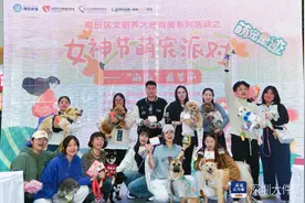 福田：萌宠邂逅女神，文明养宠点亮商圈图片