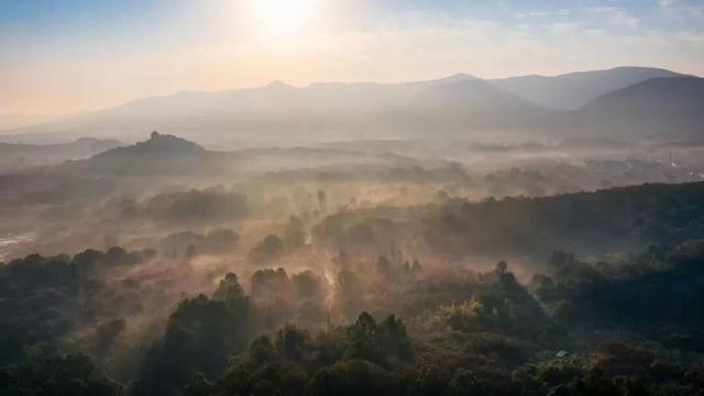 藏不住了！看一眼就“沦陷”！