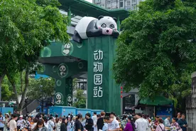 城事 | 重庆新增热门打卡地标，首座熊猫主题轨交站亮相图片