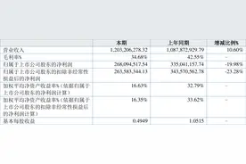 吉林碳谷：2023年上半年净利润2.68亿元 同比下降19.98%图片