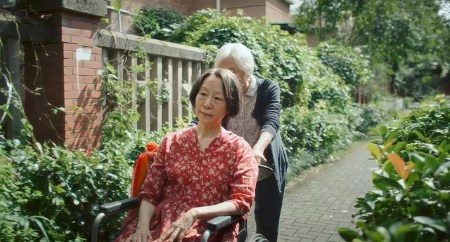 相互依赖才是人生真相，独立自主反而不是｜重阳节