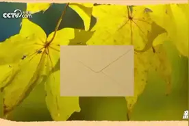 “捡秋人”手下留果！一封来自花栗鼠的求救信图片