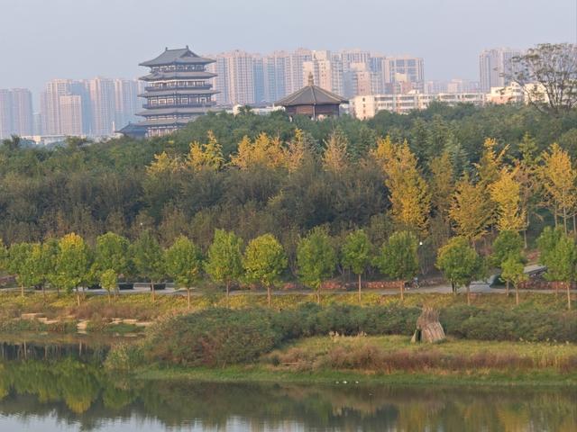 全部免费！郑州5个周末散步、约会、遛娃的好去处→