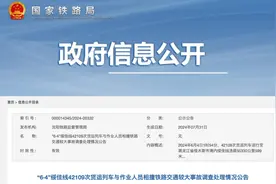 列车与作业人员相撞致6人遇难！25人被处理图片