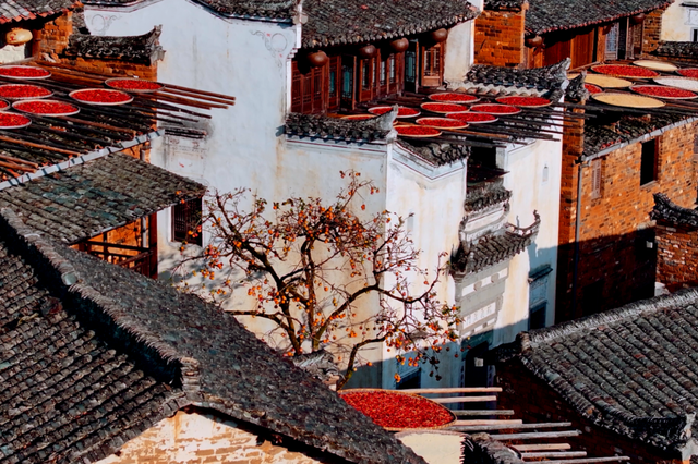 “秋假”第一站！上饶把最美的颜色，“晒”给你看