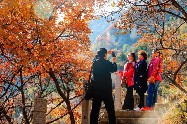 登高赏秋！海淀这里的红叶正进入最佳观赏期——
