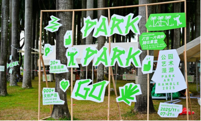 山海连城，花满全城——2025深圳簕杜鹃赏花周正式启幕