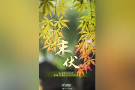 进入末伏是不是要凉快了？注意防范阵雨→图片
