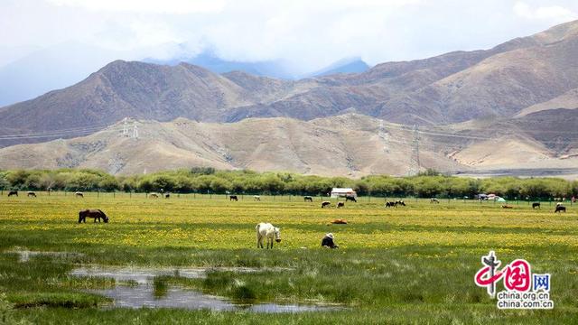 高原“复兴号”列车如绿色长龙穿梭雪域高原