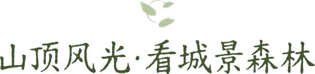 开在公园里的玻璃书房 · 深圳新安静空间