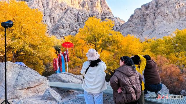 敦煌：秋染悬泉谷 胡杨绘画卷