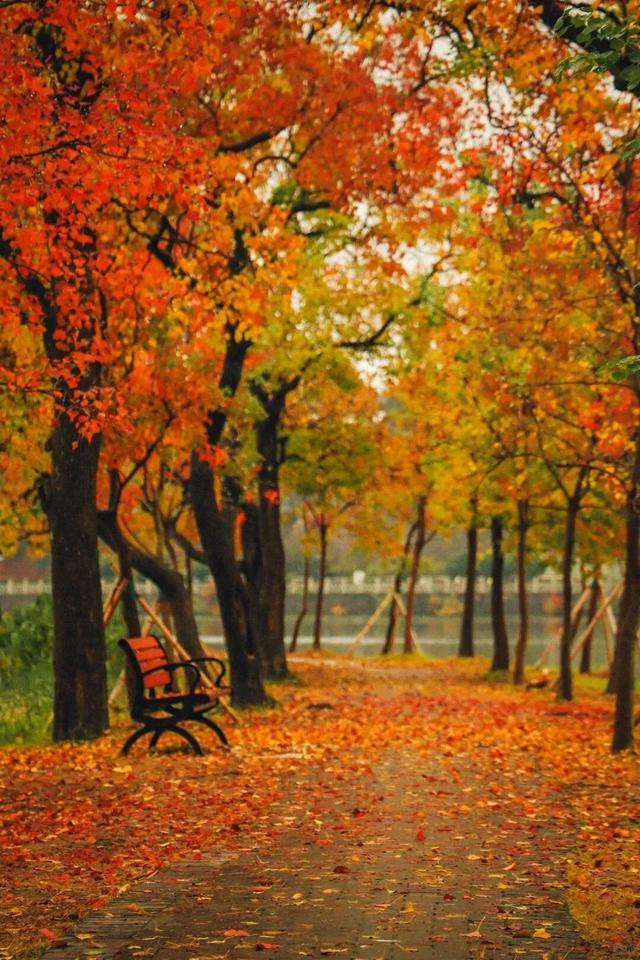 南京这里，美到刷屏了！