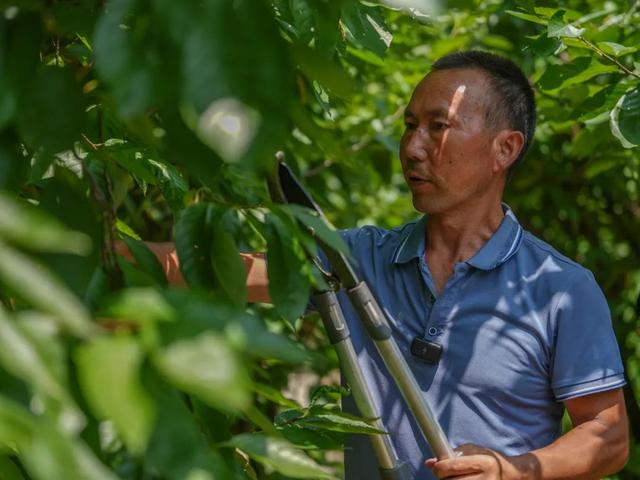厍东关：总溪河畔的“绿色长诗”