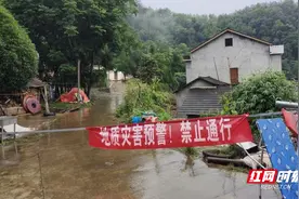 澧县码头铺镇：严阵以待，打好防汛救灾主动仗图片