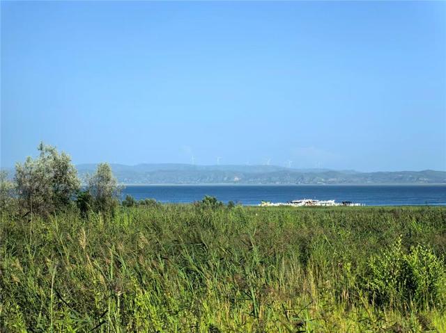 畅游岱海