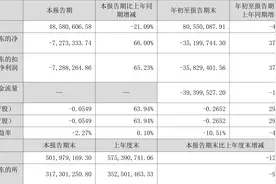 国华网安：2023年前三季度亏损3519.97万元图片
