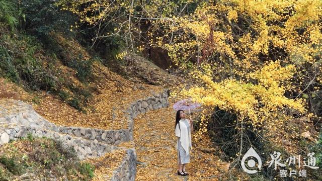 泉州人等到了！太惊艳，很多人赶去打卡！