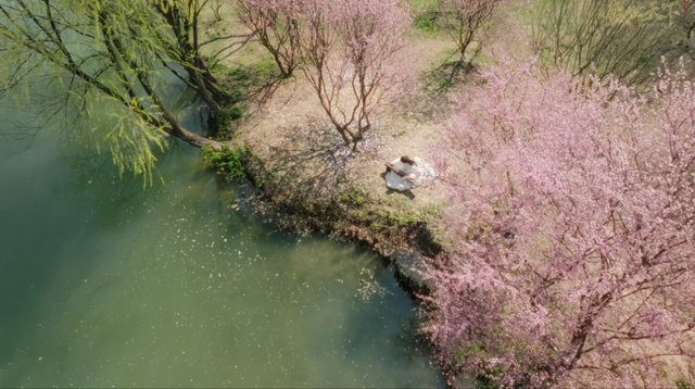 游戏论｜情感权力与爱情游戏：从《清宫计》到《盛世天下》