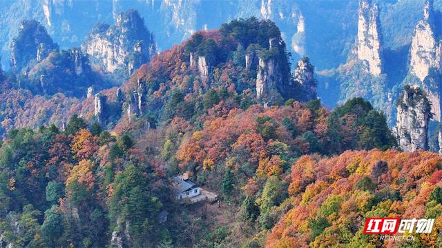 组图丨张家界国家森林公园漫山彩叶醉游人