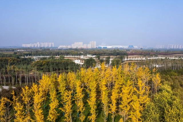 这里藏着最治愈的周末时光！