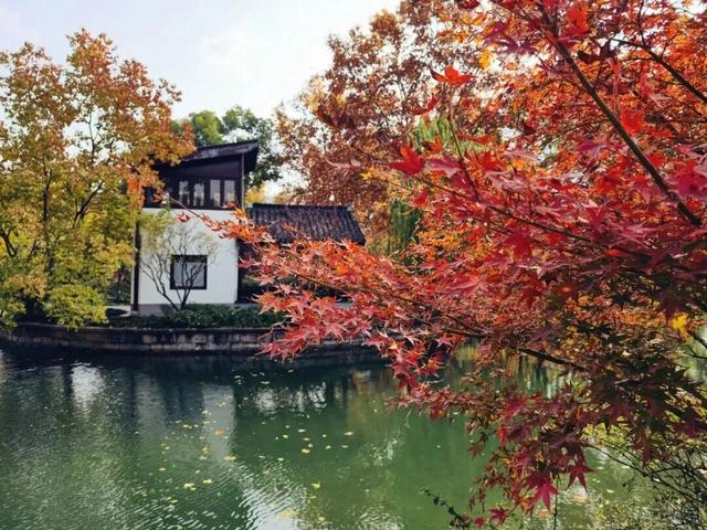 美到犯规！藏在静安深处的秋冬打卡地图上线丨静宝聊天室