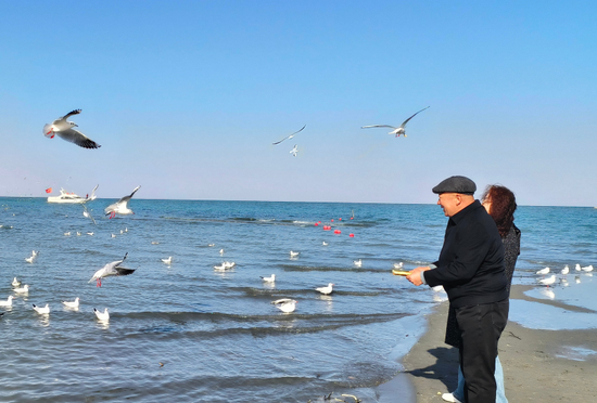 博斯腾湖环湖公路数千水鸟与游客同框 生态美景成打卡热点