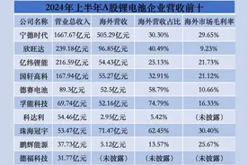 直面“危”与“机”，电池企业迎来年末出海热图片