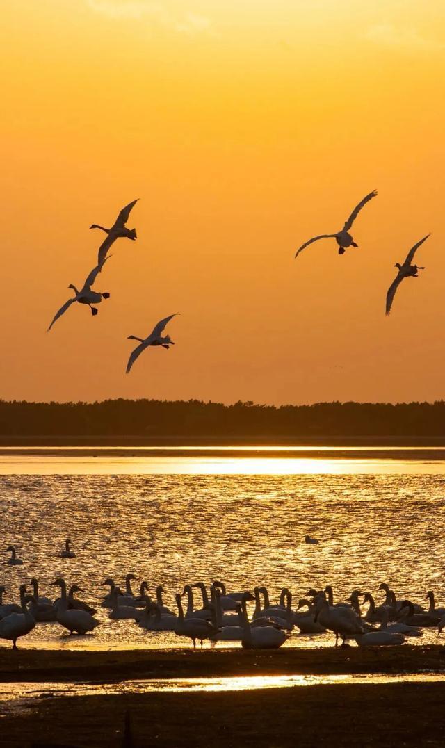 没有保持苹果肌扁平的义务，威海这个“雪窝子”太好玩了！