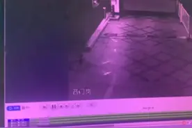 柴犬丢失9个月于500公里外被民警找回，主人：是个奇迹图片