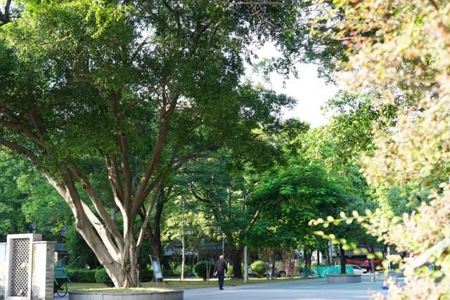 一座低调好玩的城市，花100块就能逛吃一整天！