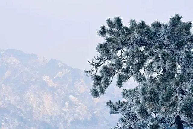 央媒看鞍山｜新华网客户端：辽宁鞍山：冬日胜景揽客来