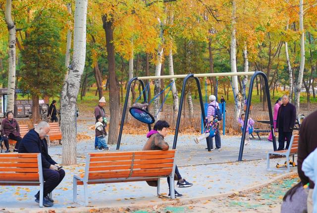 惊艳！身边的北京秋景“天花板”来了！