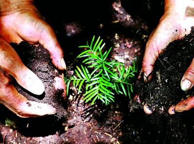 重庆黔江小南海国家地质公园：湖光山色美 土家风情浓