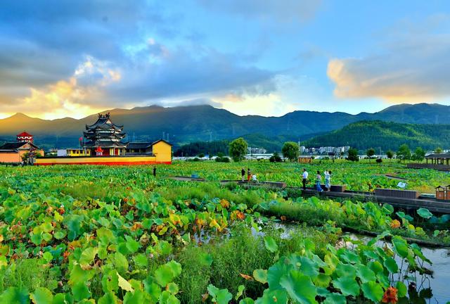 周宁浦源：在花鲤小镇感受“凉”城美景