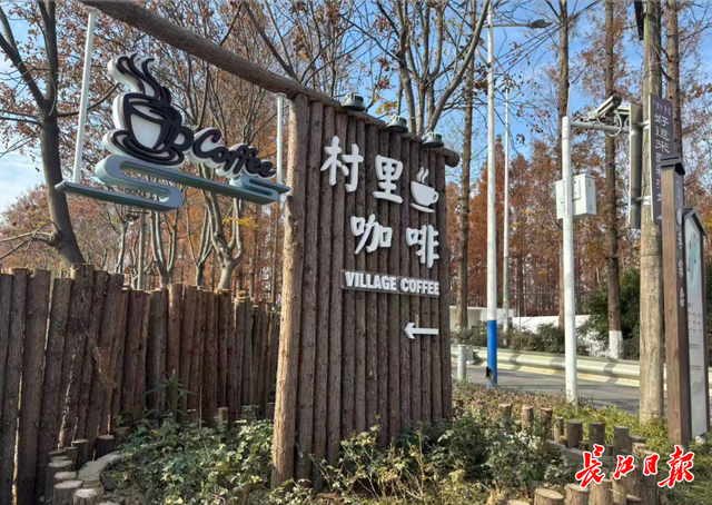 去村里喝咖啡、吃面包、赏“海景”…… 斑斓秋色+新潮玩法点燃秋游新热力