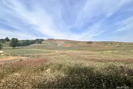 烹热“蓝田味”“链”动发展新引擎图片