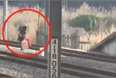 广东葵潭站一女子拖行李箱翻越铁轨，铁路回应：走错站台急于赶车图片