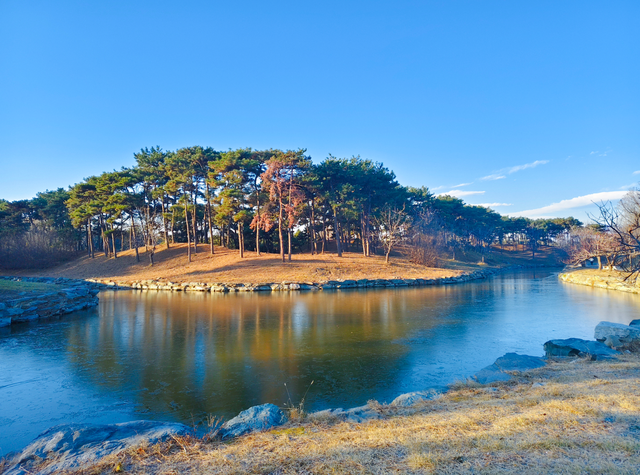 动静皆是景！踏进圆明园的冬日画卷