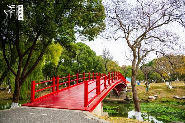 秦淮citywalk｜七桥瓮湿地公园