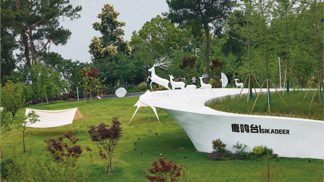 5A景区免费玩！这份来自千岛湖的“跑旅”福利请查收！