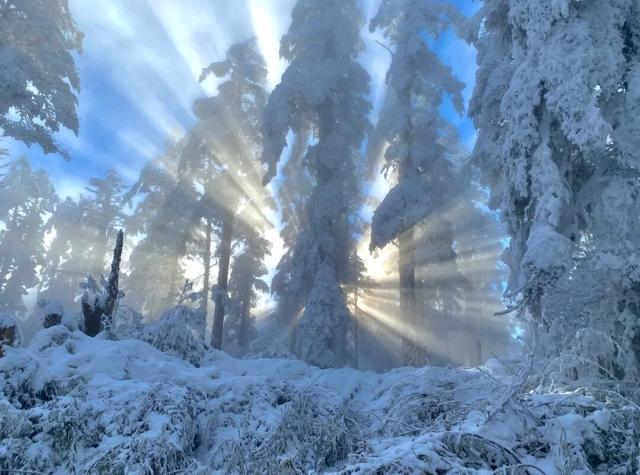重磅！2025第八届瓦屋山冰雪嘉年华已经开启，即将解锁更多冬日新玩法！