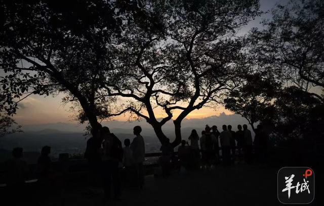 年轻人为何夜爬白云山？