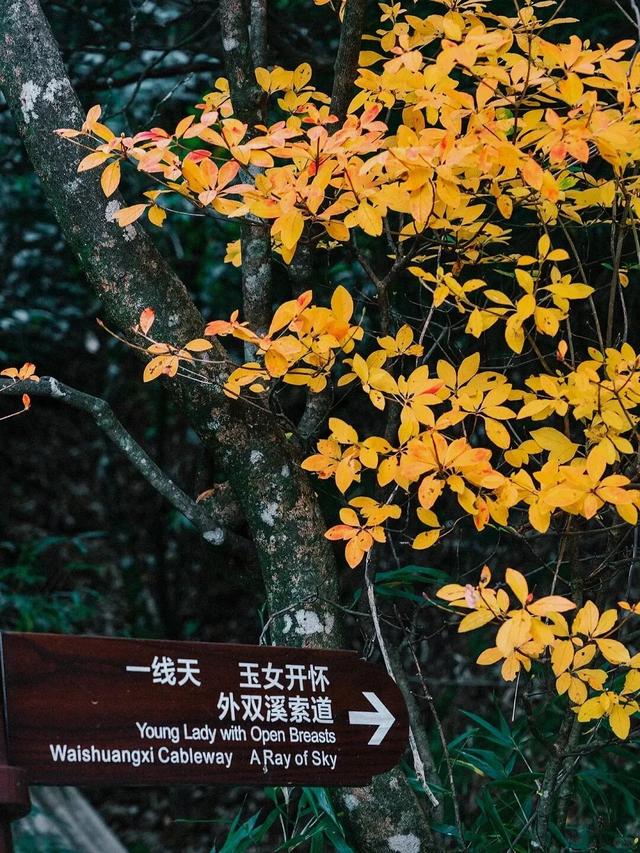 收藏这份江西金色地图，邂逅最绚烂的秋！