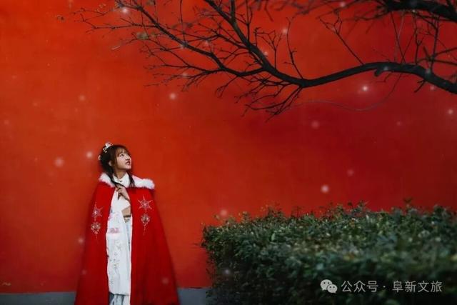 从雪场飙车到温泉躺平 ！阜新5条线路没得挑！