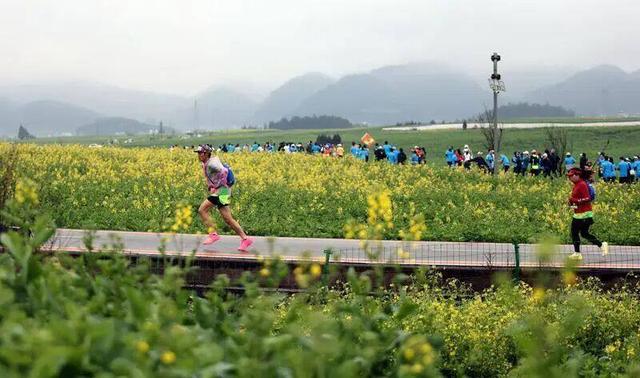 从远方而来，在暖阳里奔跑