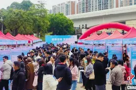 广州南沙逾4000个岗位待英才 最高年薪达百万图片