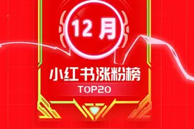 单月涨粉158万！小红书上哪些赛道的博主最吃香？图片