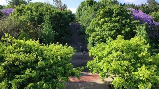 旅居昆明去哪里？走，向南1小时直达23℃的宜良~